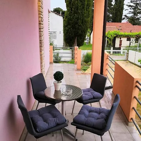 Cypress Tree Daire *